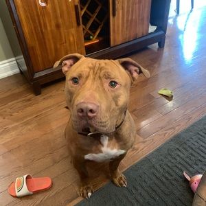 Meet your Posher, Victoria